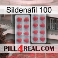 Sildenafil 100 19